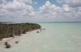 Île – Quintana Roo, Mexico. $18,000,000